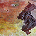 Barking Vision