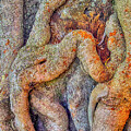 Natural Abstract